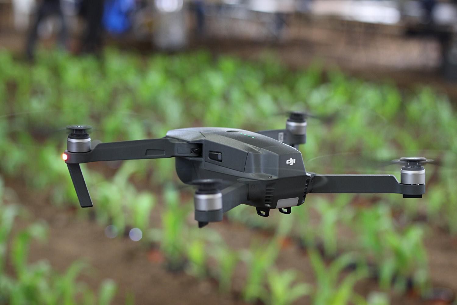 eine Drohne fliegt im über dem Maisfeld in der Halle