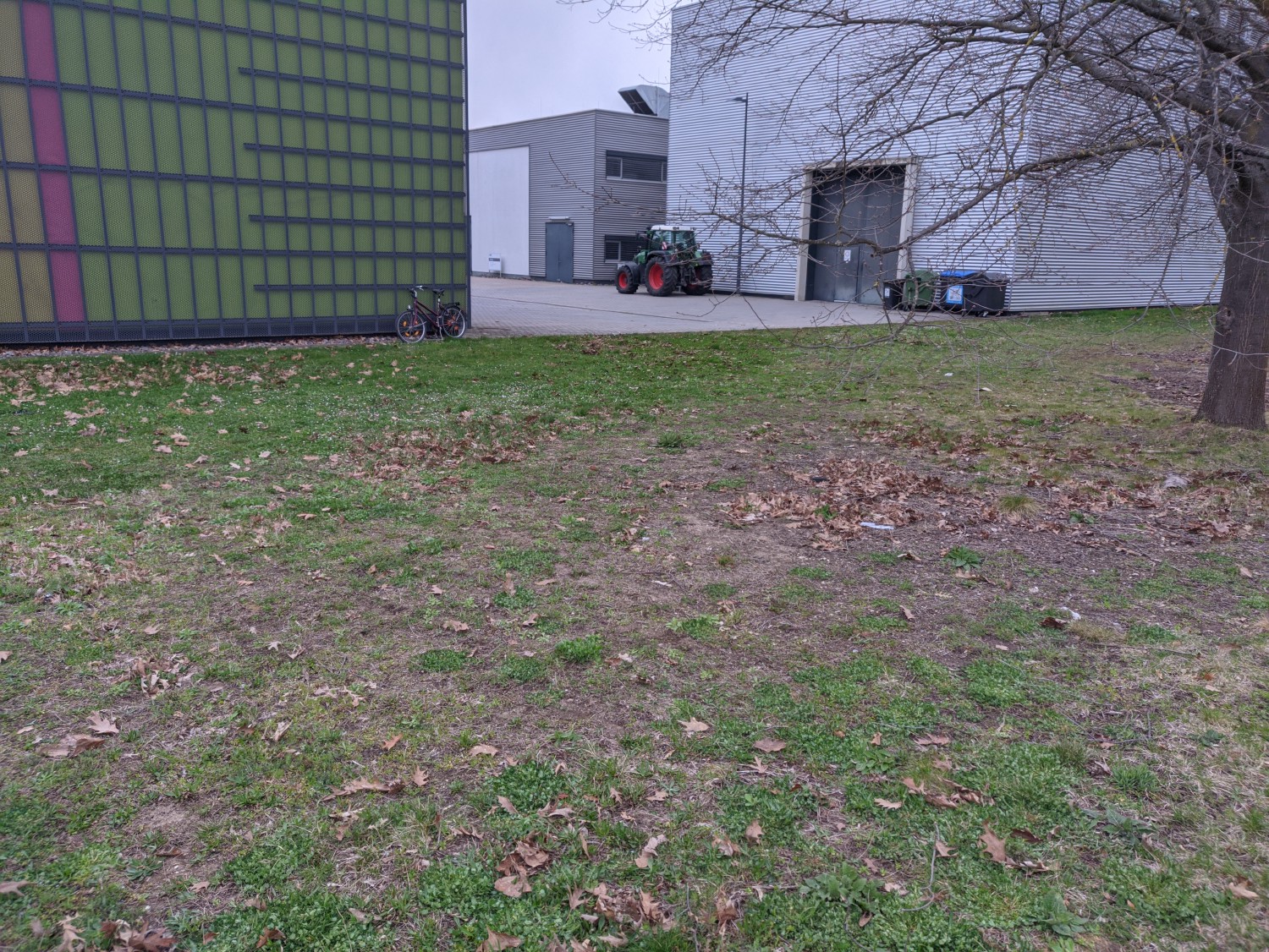 A field with hard ground and many stones behind our workshop