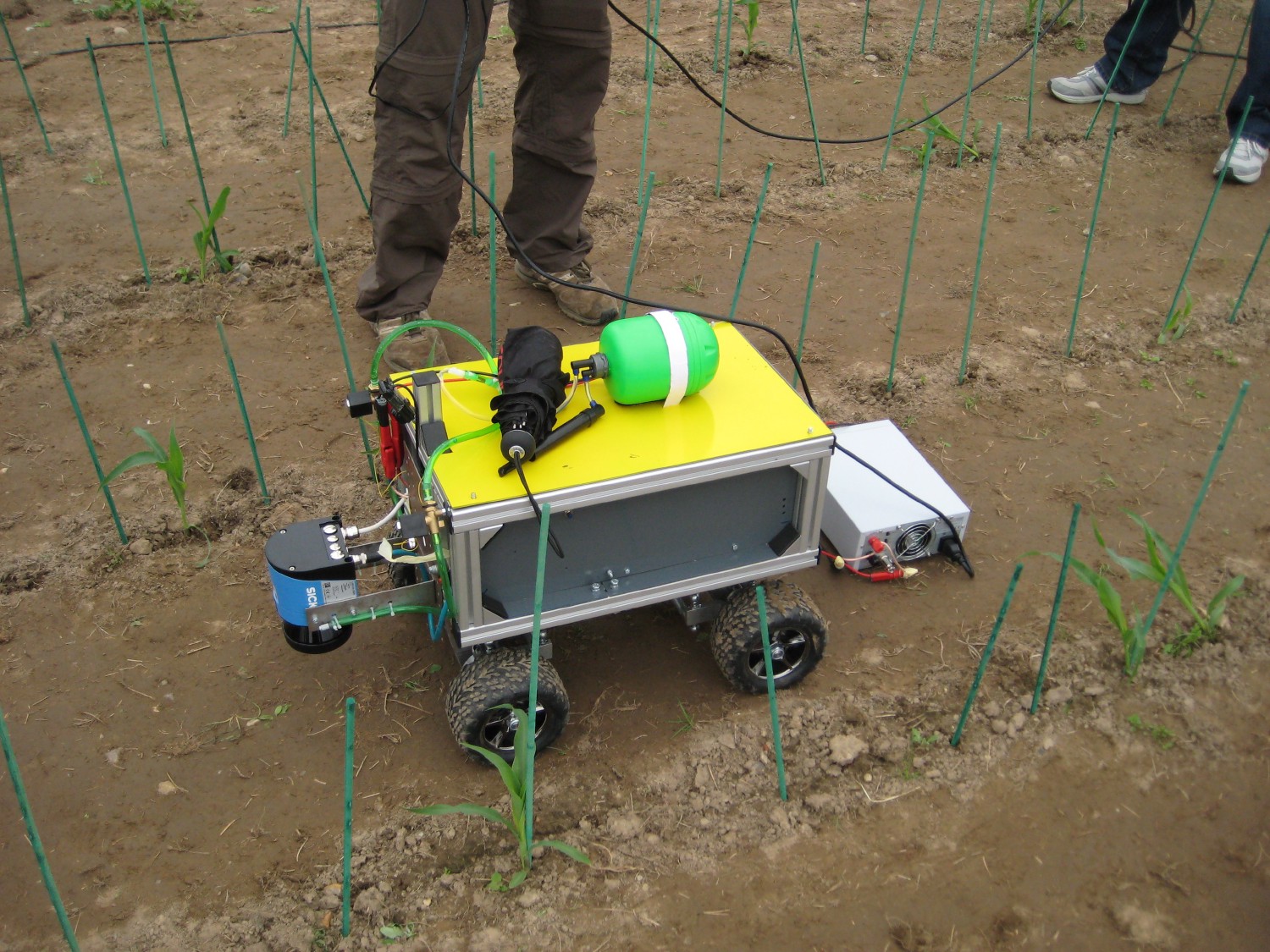 Kamaro 2010 fährt durch die noch viel zu kleinen Maispflanzen des FRE 2010